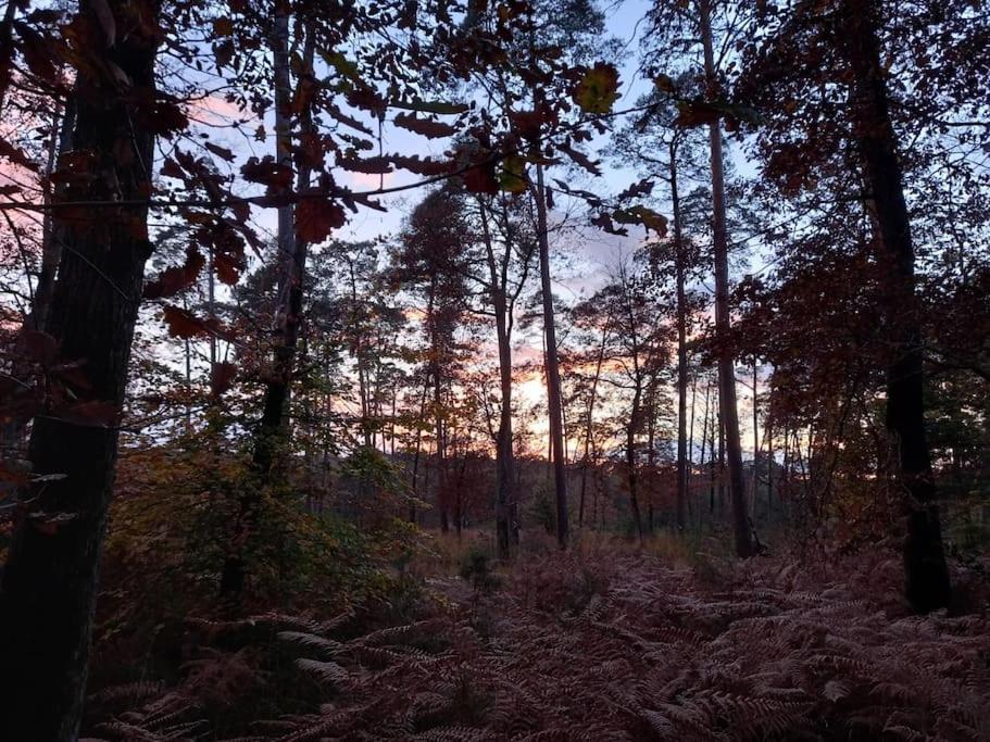 Gite Les Petites Bruyeres Veneux-les-Sablons Bagian luar foto